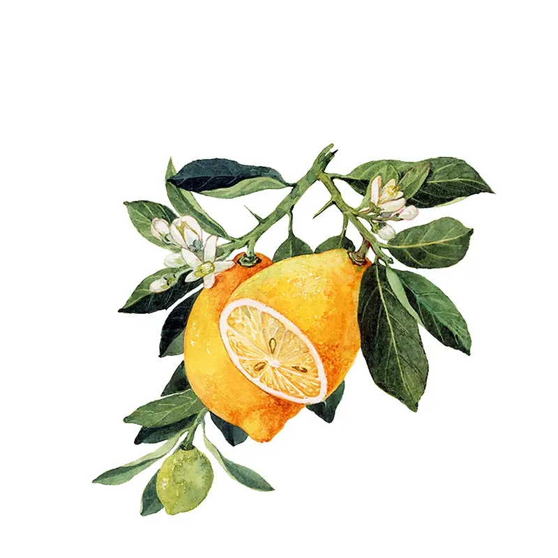 ˮ���ֻ�-������