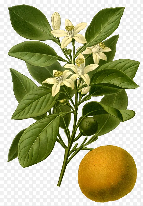 ��ͨ�ֻ�ˮ��װ�κ������-������