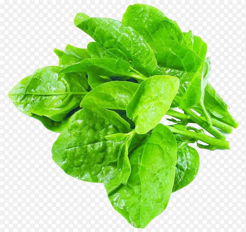 ��ɫ���ʵ��߲�-������