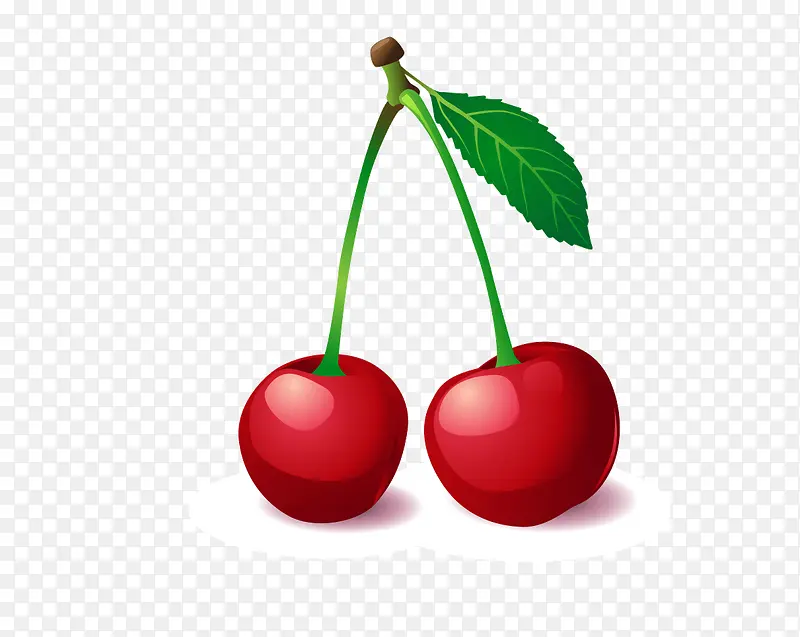 �ֻ�ӣ��-������