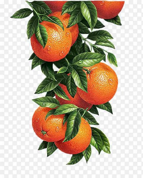 ��ͨ�ֻ�ˮ��װ�κ������-������