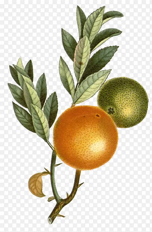 ��ͨ�ֻ�ˮ��װ�κ������-������