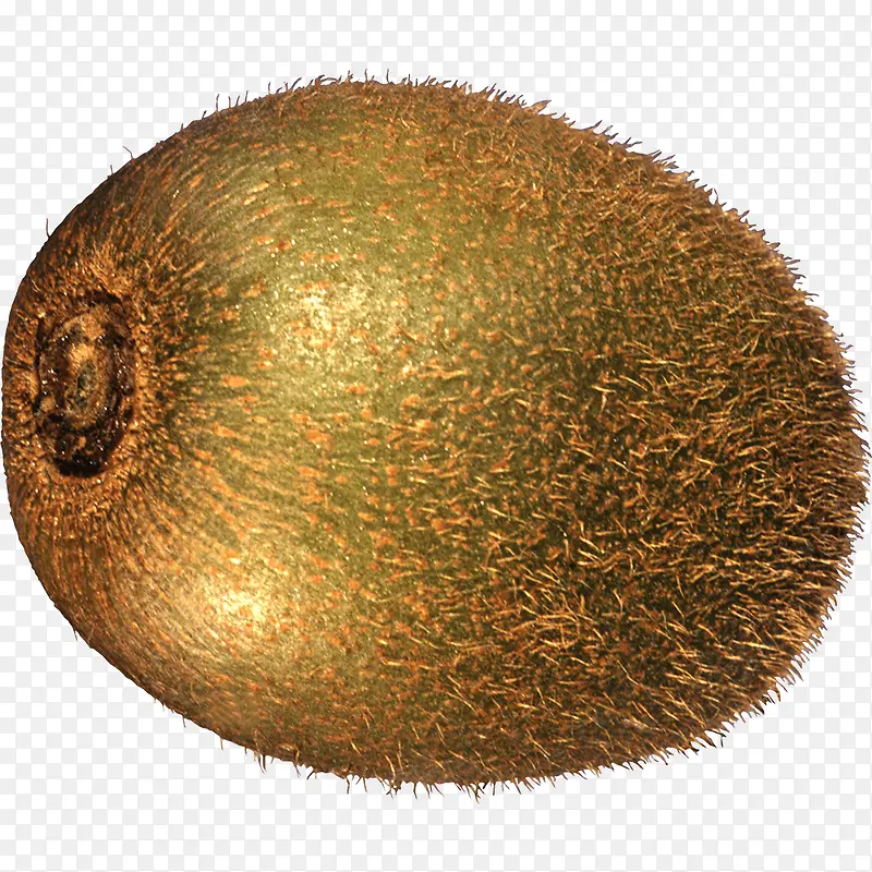 ⨺���-������