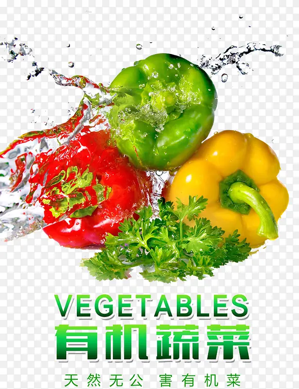 �л��߲�-������