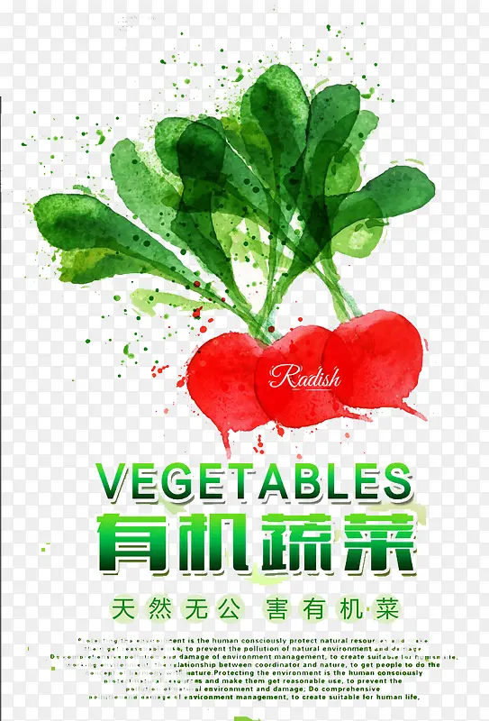 �л��߲�-������