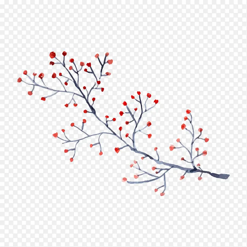 �ֻ�ֲ��-������