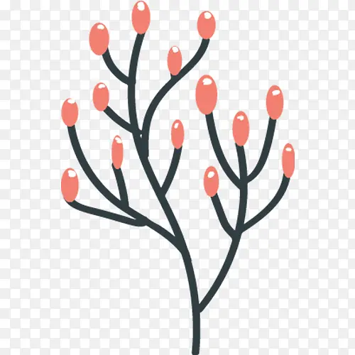 �ֻ�ֲ��-������