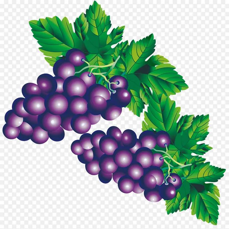 ���ѿ�ͨPNGʸ���ز�-������