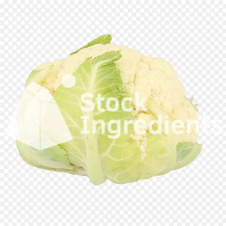 ʮ�ֻ����߲�Ҷ�˸�����Ҭ��-������