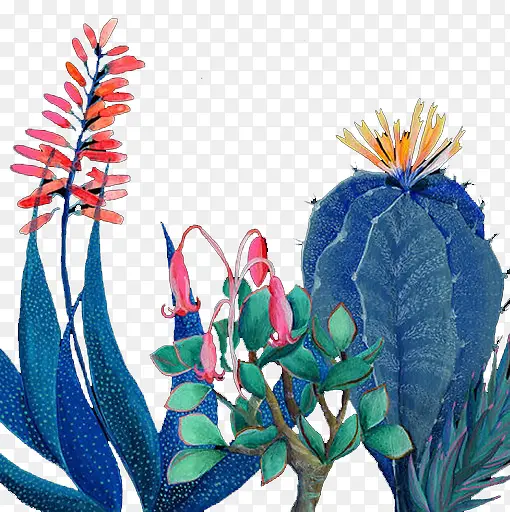 �ֻ����ֲ��-������