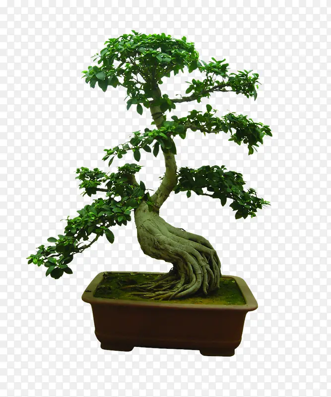 ��-������