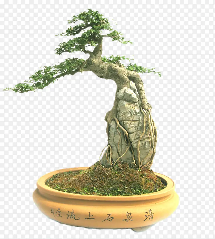 ������-������