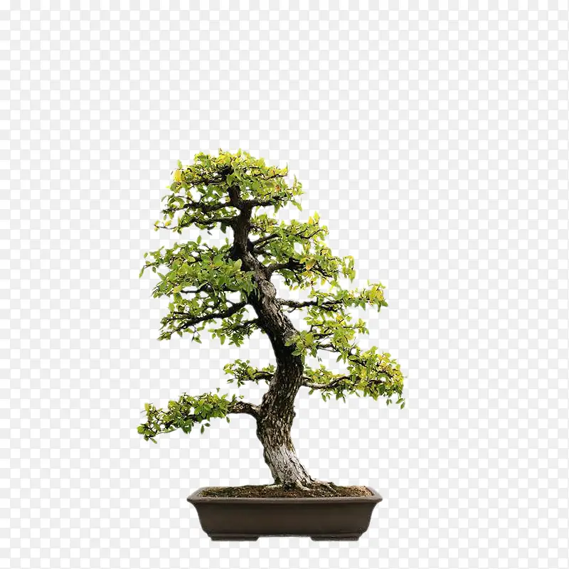 ��-������