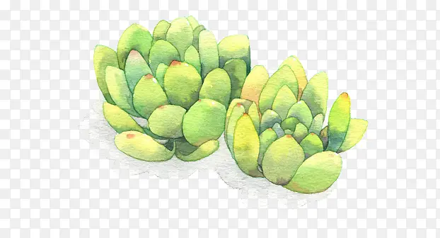 ����-������