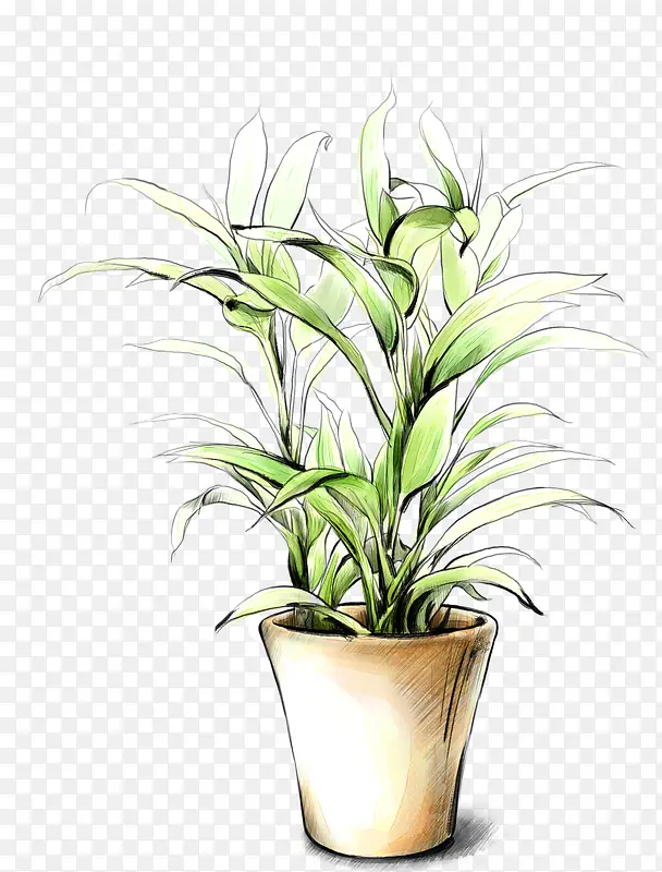 �ֻ�-������