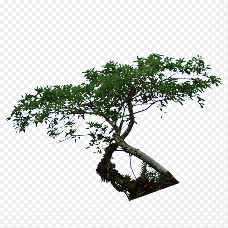 ������-������