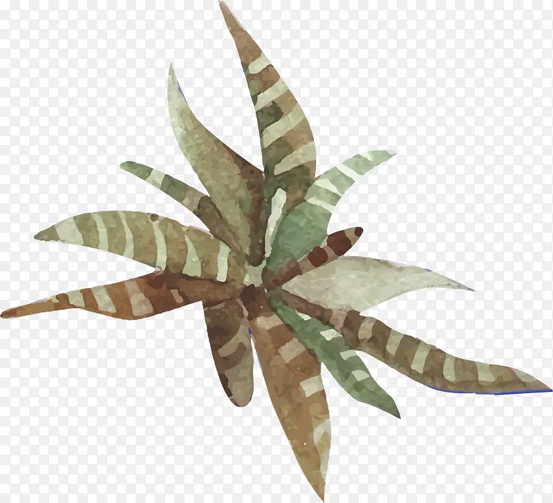 �ֻ�ˮ�ʶ���-������