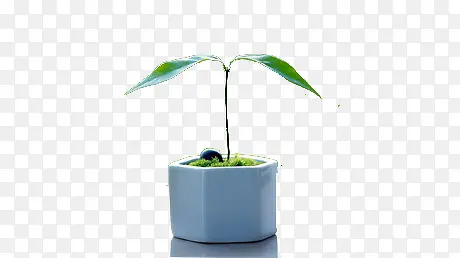 С������-������