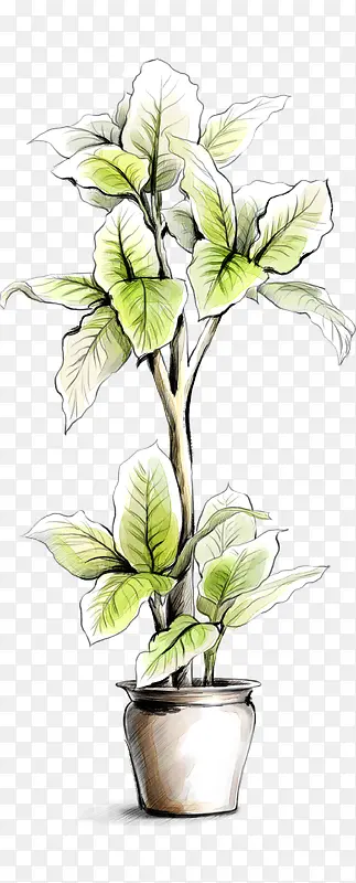 �ֻ�-������