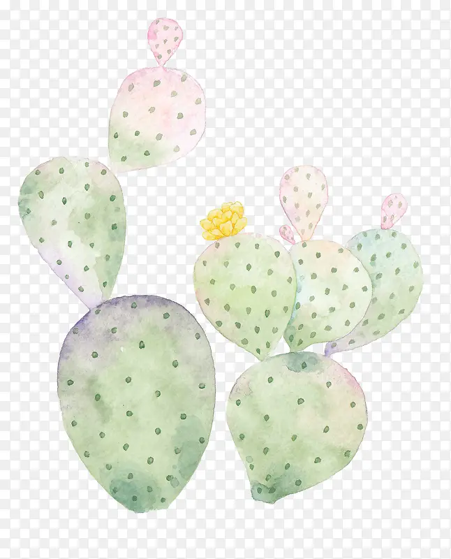 С���²廭�����ƿ�ͨ������-������