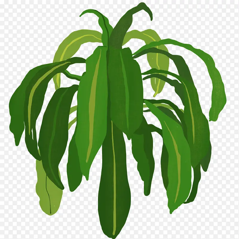 С���²廭�����ƿ�ͨ����-������