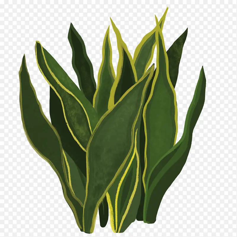 С���²廭�����ƿ�ͨ����-������