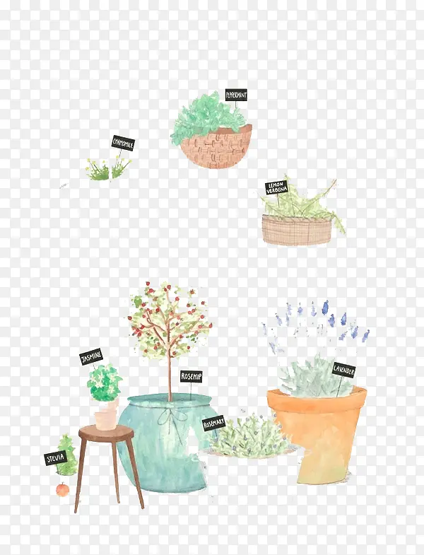 ˮ��ֲ��-������