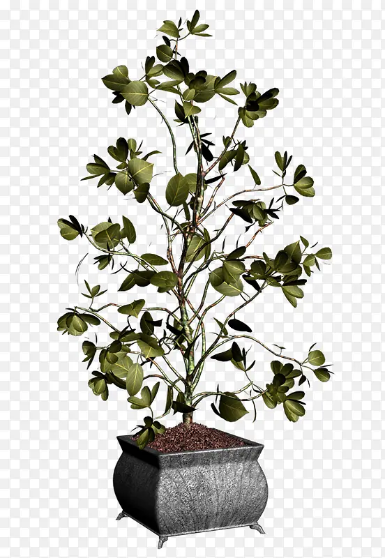 ֲ������-������