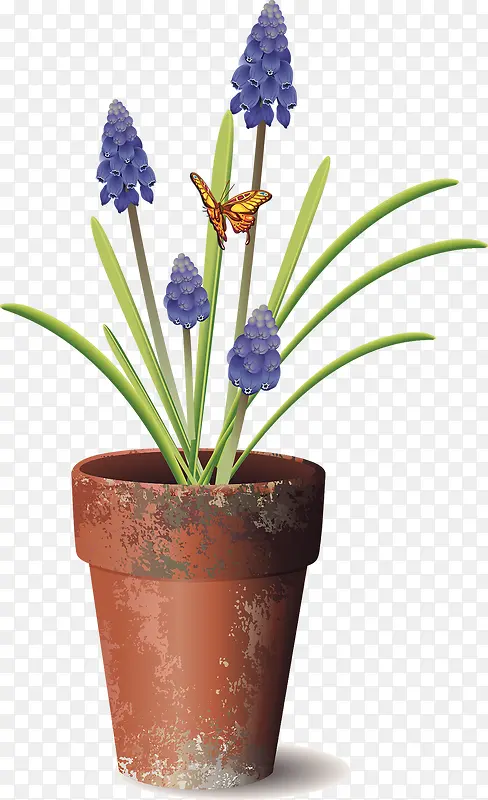 ʸ��޹�²�-������