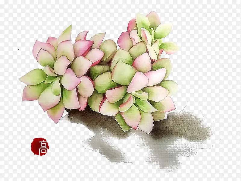 ֲ��-������