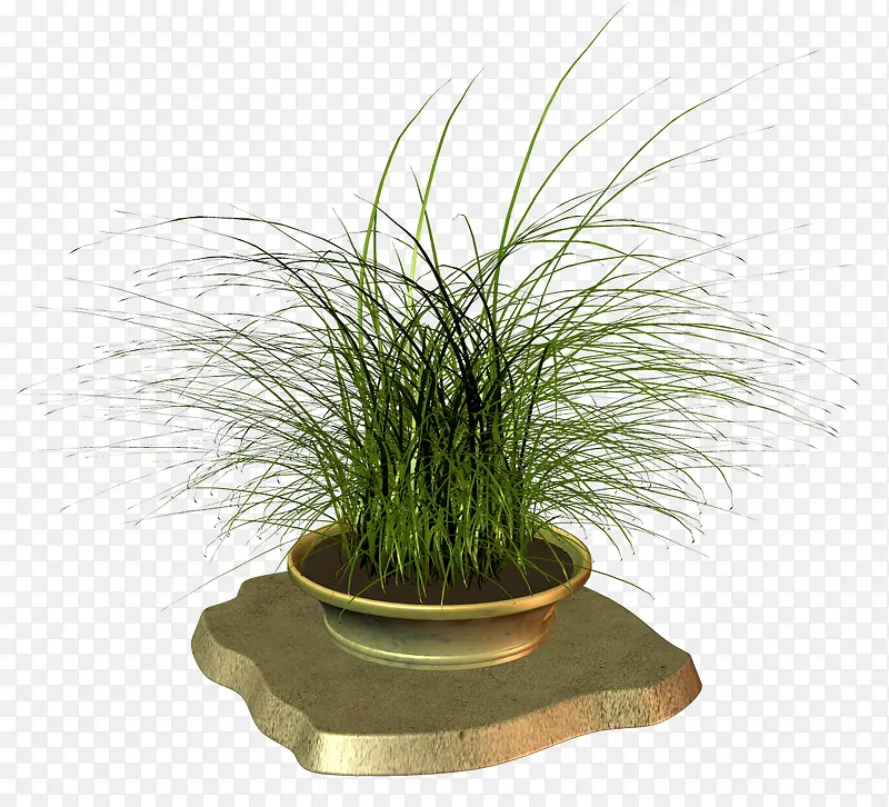 ����-������