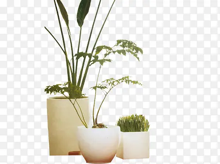 ����ʵ��ͼ-������