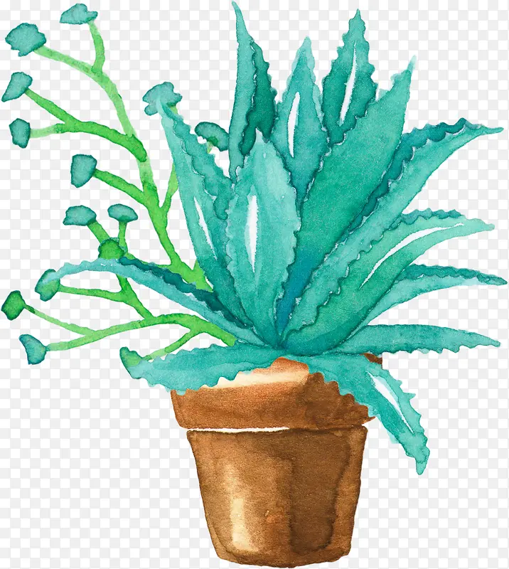 С���²廭�����ƿ�ͨ����-������