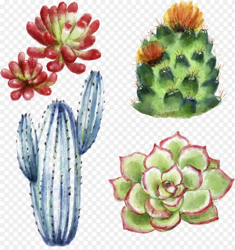 ˮ�ʶ���ֲ��-������