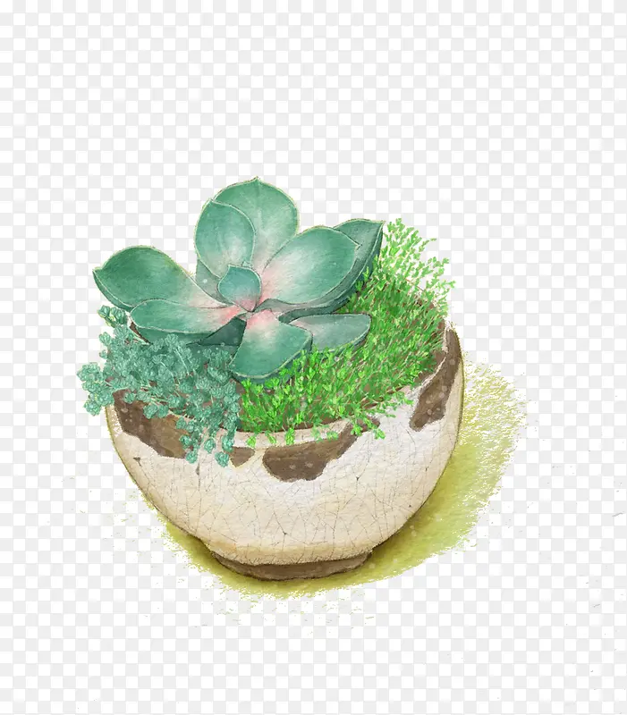 ˮ�ʻ�-������