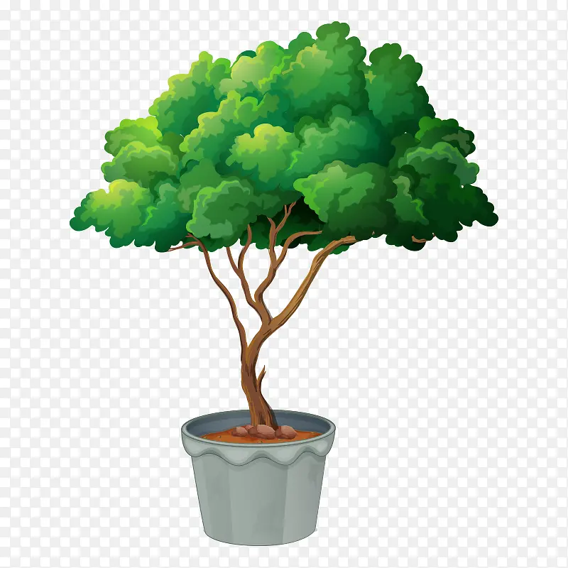 �� ��ľ-������