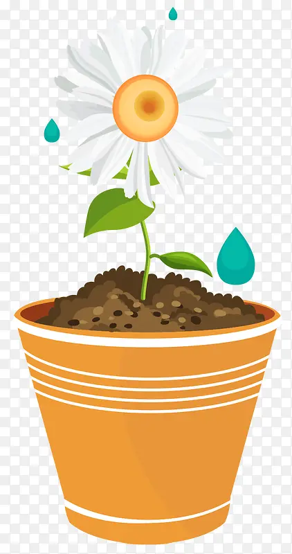 ʸ���׾������ز�-������