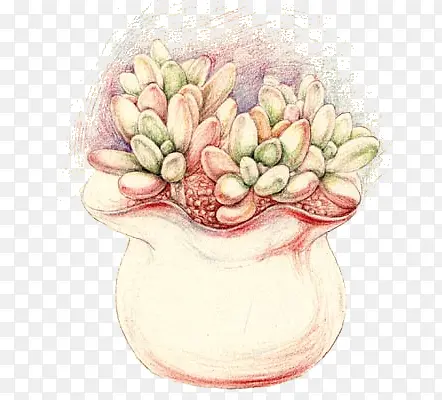 ֲ��-������