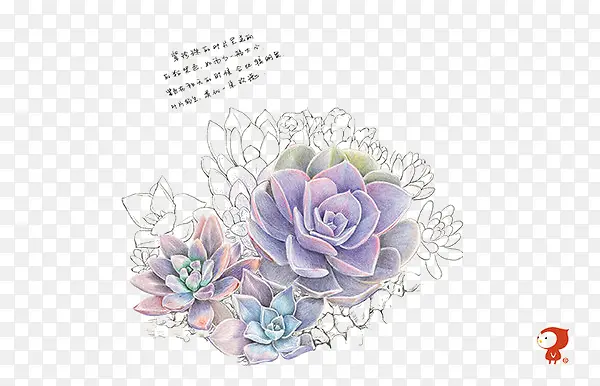 ֲ��-������