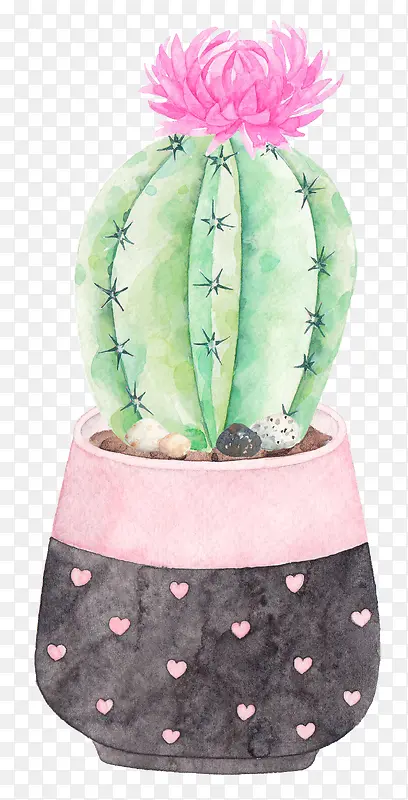 С���²廭�����ƿ�ͨ����-������