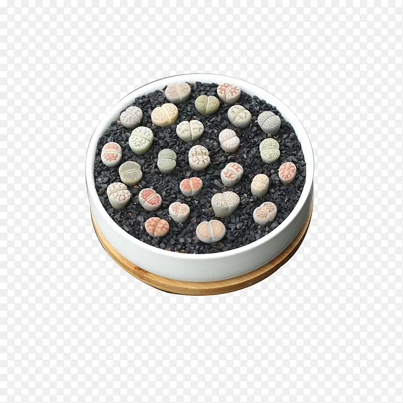 ʯ��������-������