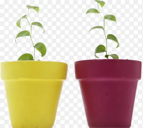 ��ɫ��ʽ����ֲ��-������