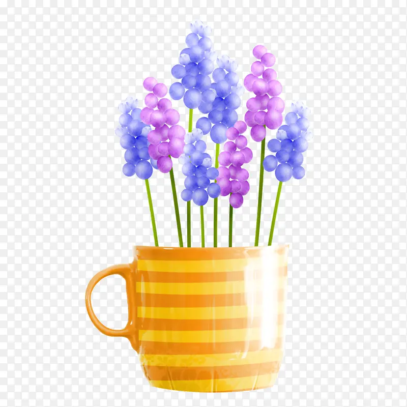 ޹�²�����-������