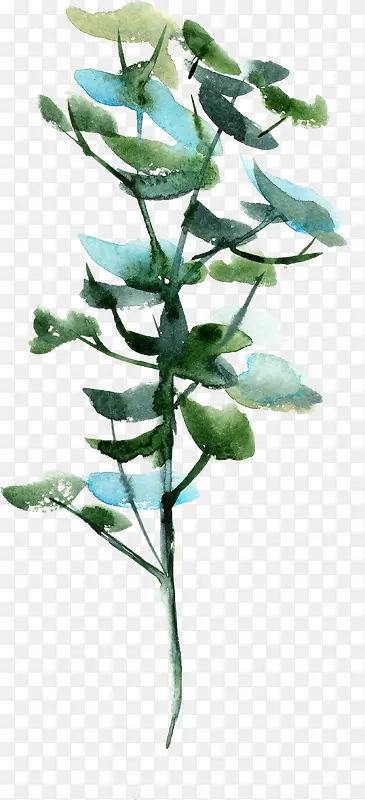 ˮ����ɫ��������-������