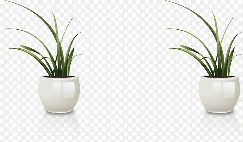 ����-������