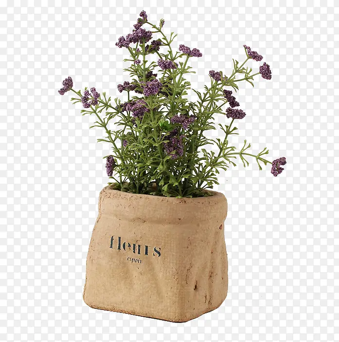 ޹�²�-������