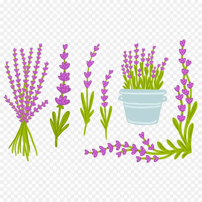 ʸ��ͼ޹�²�����-������