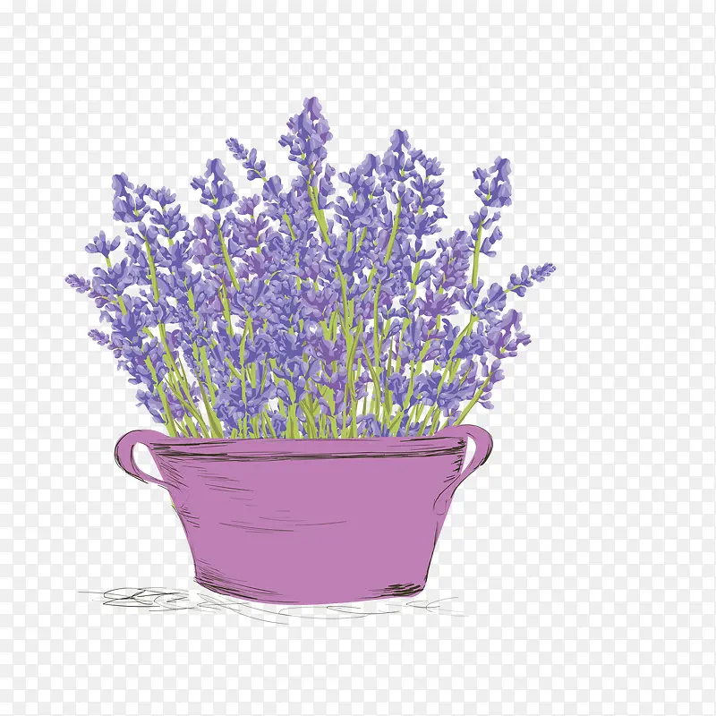 ޹�²�-������