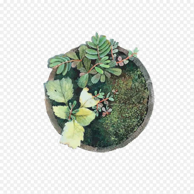 �ֻ�дʵС������-������