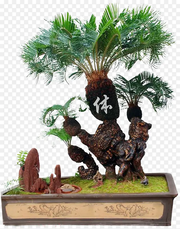 �ֻ洴�����Ծ���-������